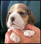 Girl 1 Feont wk4